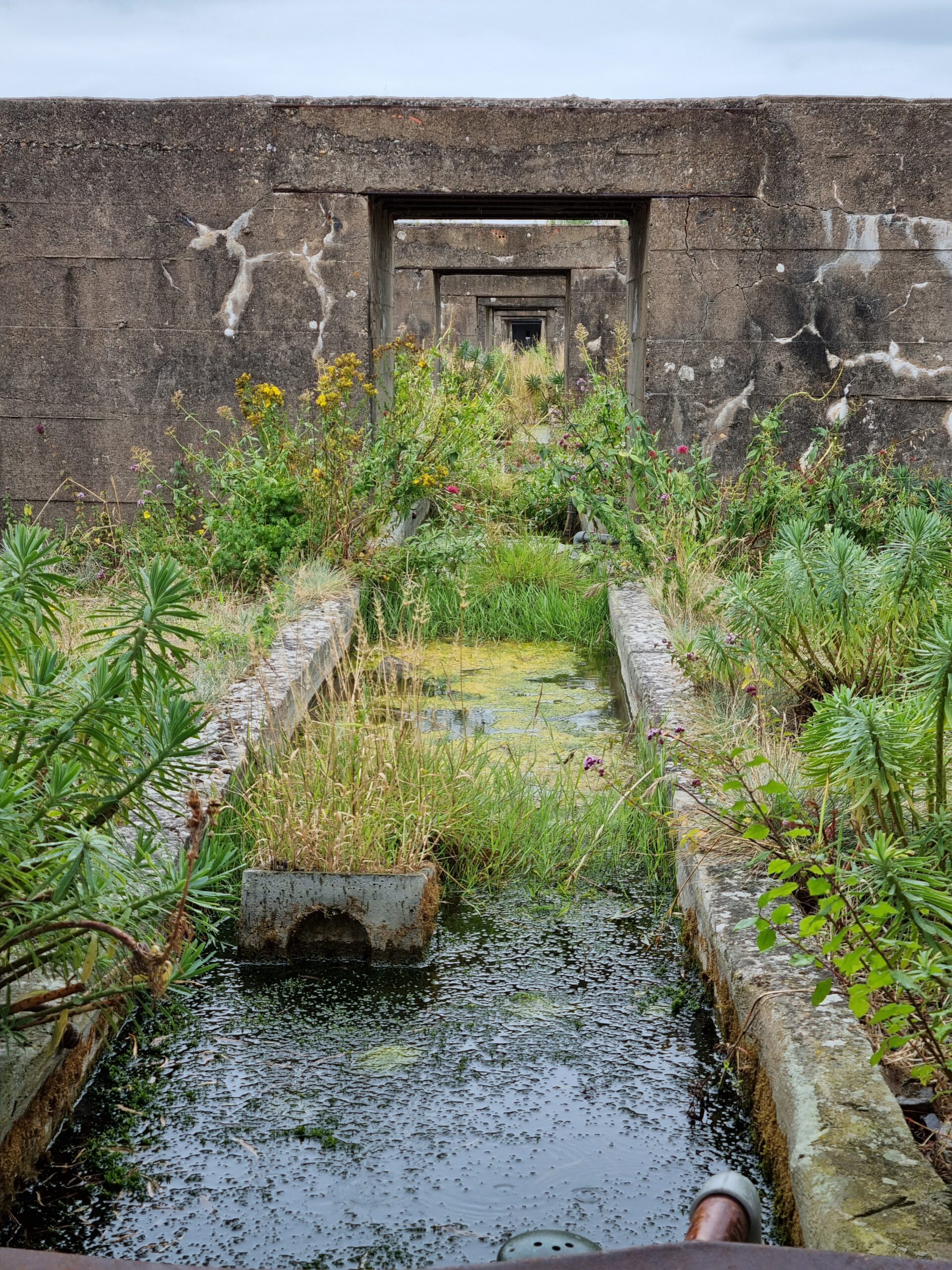 Jardin du tiers Paysages de Gilles Clément