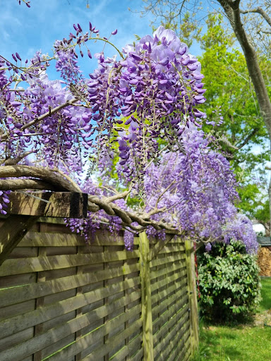 Photo from customer review