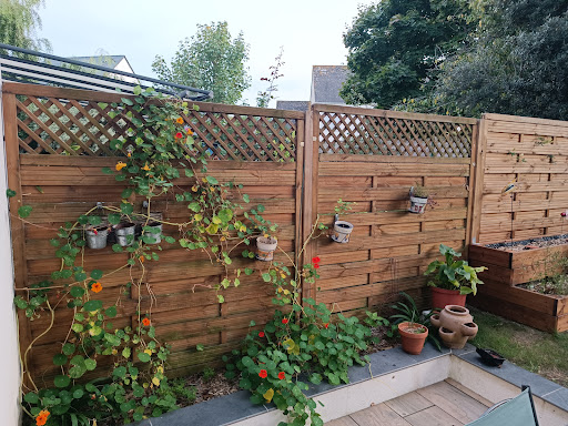 Photo from customer review