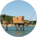 Laur Alc profile picture