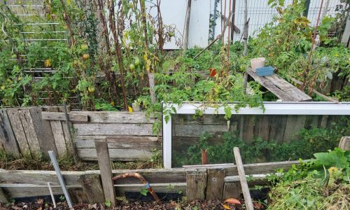 Visite de jardin - jardin punk