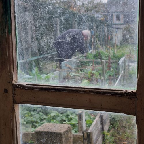 Visite de jardin - jardin punk