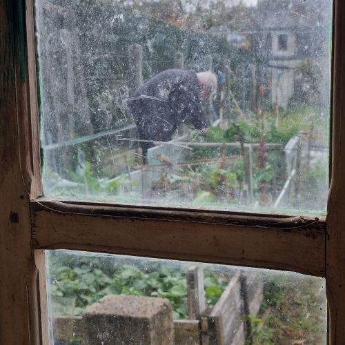Visite de jardin - jardin punk