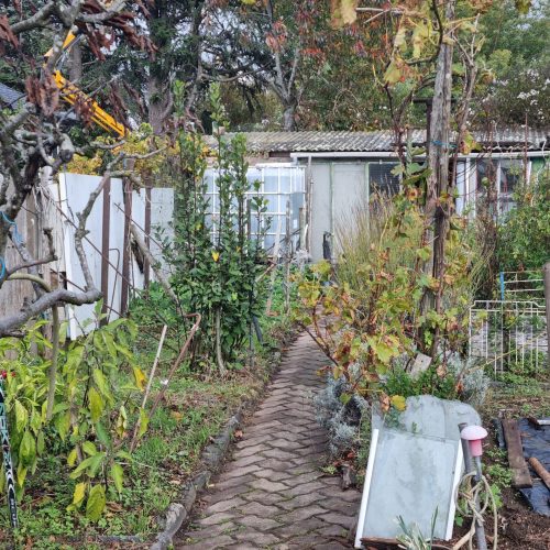 Visite de jardin - jardin punk