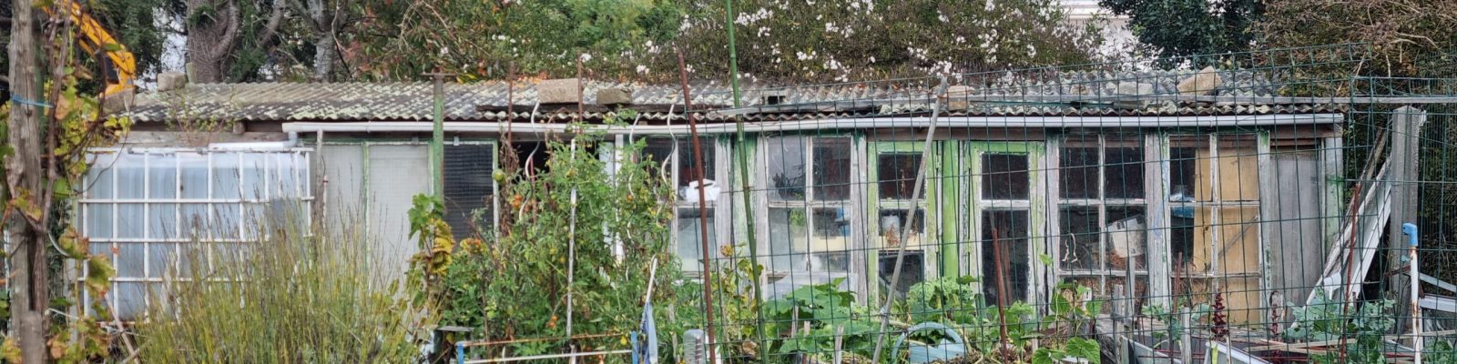 Visite de jardin - jardin punk