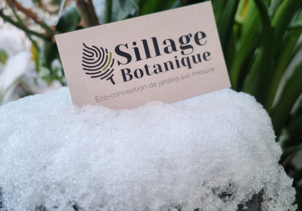 Sillage botanique éco paysagiste à  St Nazaire
