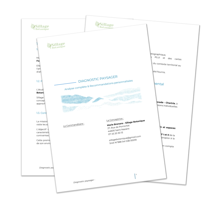 exemple diag paysager