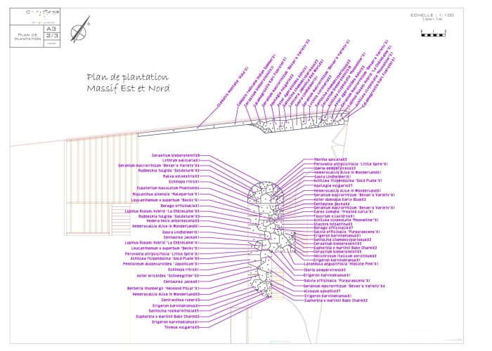 Plans de plantation_Page_2